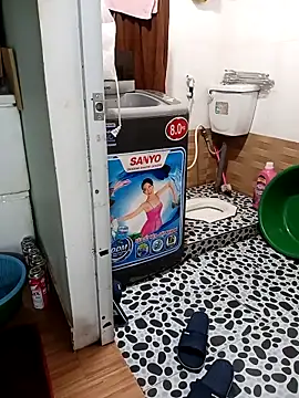 Tulip ii online show from February 14, 6:04 am