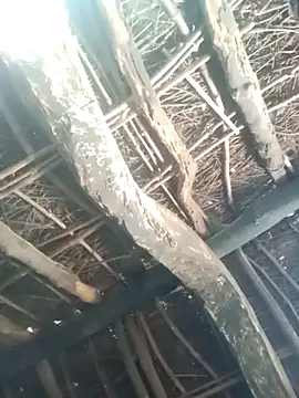 Manu mehta online show from March 31, 4:56 am