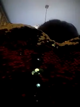 oxavector online show from February 6, 10:07 am