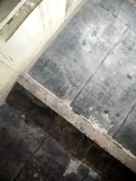 Loomaraj online show from April 8, 4:31 pm