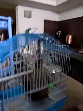 sexysilmy online show from February 25, 8:35 am