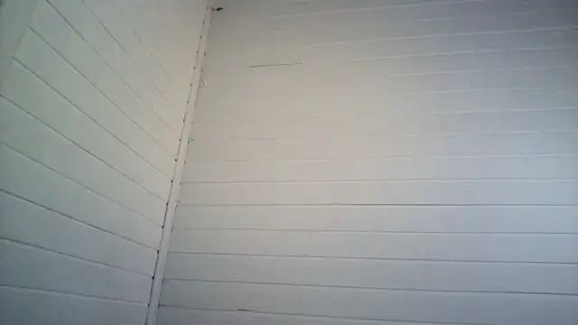 dandarapandorinha29 online show from July 19, 11:56 am