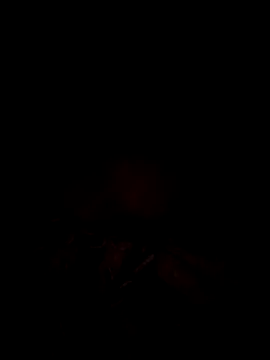 tina2005 online show from March 31, 7:58 pm