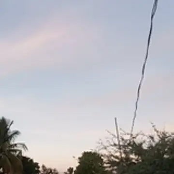 hotwife   br online show from April 9, 8:36 pm