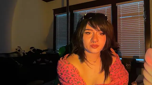 vrtual kitty online show from June 1, 2:46 am