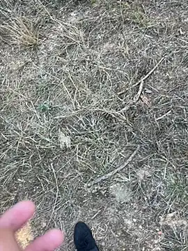 yingzi003 online show from April 7, 7:43 am