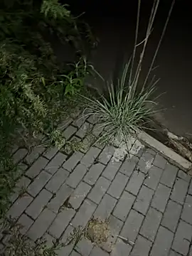 yunyun0006 online show from April 29, 2:09 pm