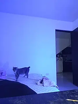 Meganmeow1 online show from July 23, 8:39 pm