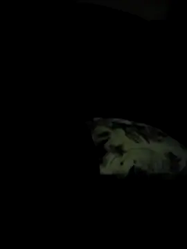 Tashaspicy online show from May 29, 2:53 am