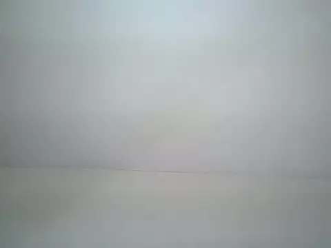 wendy shancy online show from May 27, 2:14 pm