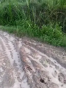NEELU VERMAA online show from July 10, 1:33 pm