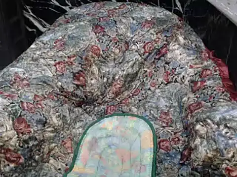 Snapshot of ASIANDOLLY4U chatting on November 1, 1:10 am ASIANDOLLY4U online show from November 1, 1:10 am