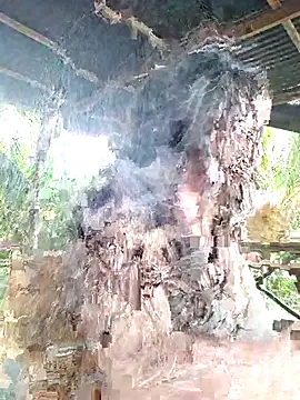 loveuu-bae online show from October 23, 9:32 pm