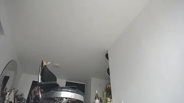 princes alisha online show from October 6, 1:50 pm