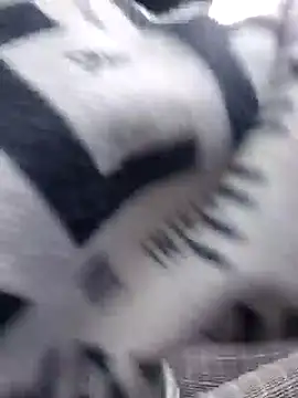 Snapshot of misscectito13 chatting on September 24, 4:50 pm misscectito13 online show from September 24, 4:50 pm