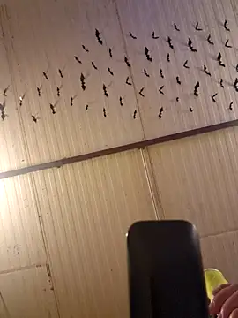 mila38 online show from September 18, 10:52 pm