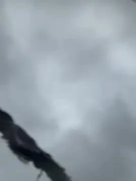 AnyDreams22 online show from October 5, 9:25 am