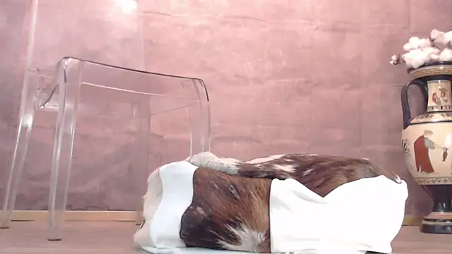 Snapshot of Lady-Nymph chatting on October 26, 5:19 pm Lady-Nymph online show from October 26, 5:19 pm