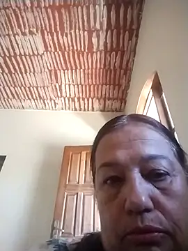 catdool online show from April 26, 4:16 pm