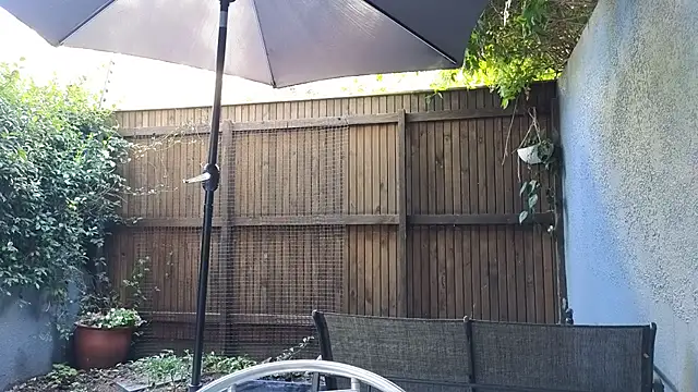 TopsyWilde online show from February 19, 8:36 am