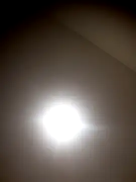 sua sub  online show from October 12, 1:46 pm