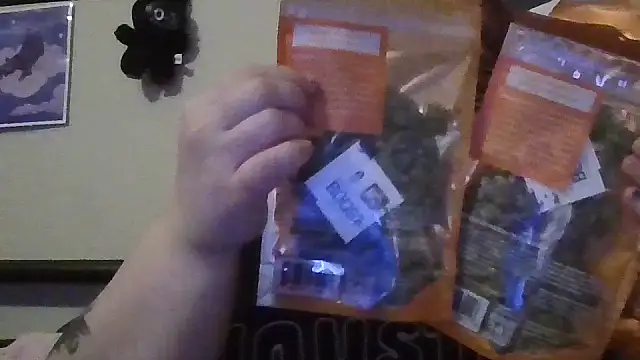 GothyBaby online show from April 23, 2:30 am