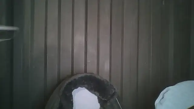 alaanna new online show from October 10, 2:16 am