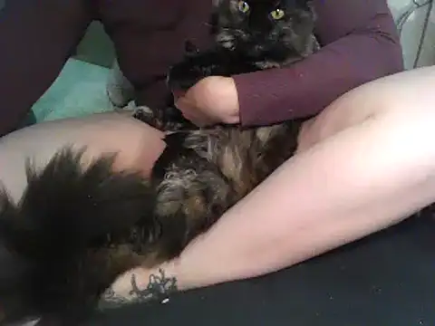 Snapshot of Alma_Evelynne chatting on October 4, 7:18 pm Alma Evelynne online show from October 4, 7:18 pm