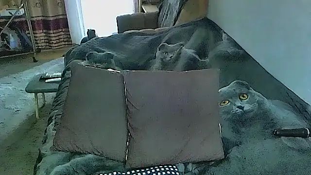 Snapshot of sex2 chatting on October 16, 2:25 am sex2 online show from October 16, 2:25 am