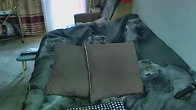 Snapshot of sex2 chatting on September 23, 1:04 am sex2 online show from September 23, 1:04 am