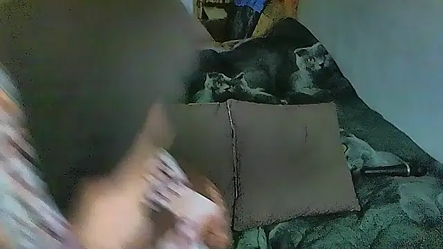 Snapshot of sex2 chatting on October 1, 2:27 am sex2 online show from October 1, 2:27 am