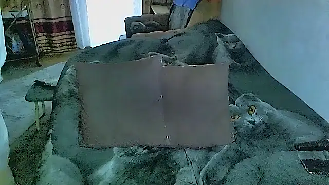 Snapshot of sex2 chatting on October 2, 2:38 am sex2 online show from October 2, 2:38 am