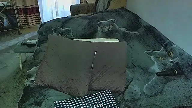 Snapshot of sex2 chatting on November 1, 1:32 am sex2 online show from November 1, 1:32 am