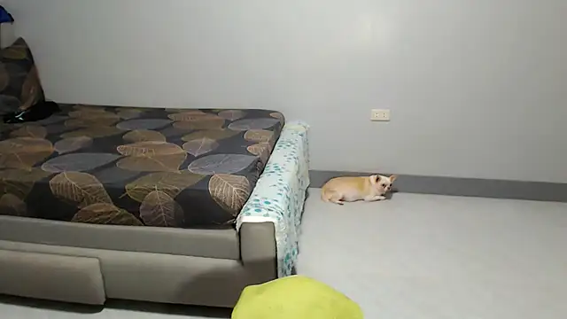 Snapshot of DOLL-DOMINATION chatting on September 22, 7:01 pm DOLL-DOMINATION online show from September 22, 7:01 pm