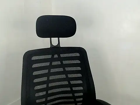 Carolicious online show from October 15, 12:41 pm