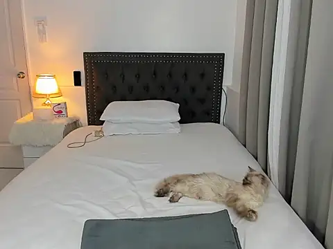 cyberanita online show from March 4, 2:56 pm