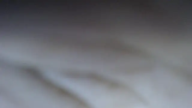 swt shadow online show from March 4, 10:27 pm