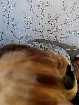 Snapshot of Lovers__Annn chatting on October 11, 11:04 am Lovers Annn online show from October 11, 11:04 am