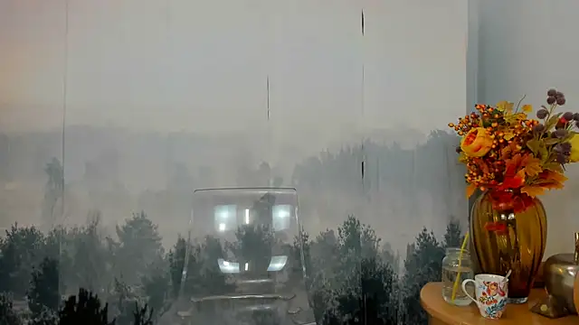 Snapshot of ViciousSiren chatting on October 8, 11:25 am ViciousSiren online show from October 8, 11:25 am