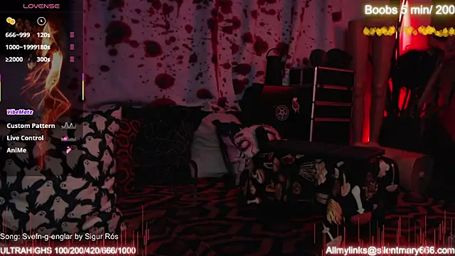 Snapshot of Silentmary chatting on October 10, 10:42 am Silentmary online show from October 10, 10:42 am