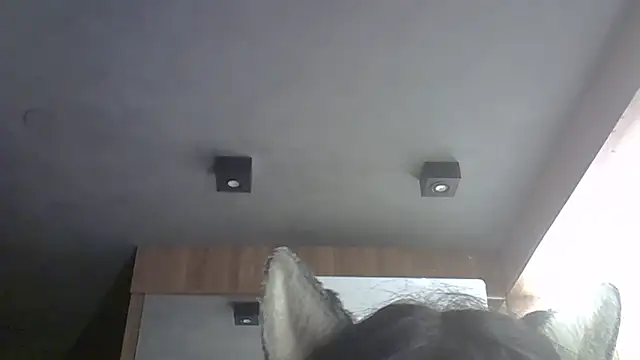 Skinny-Kitten online show from February 9, 4:15 am